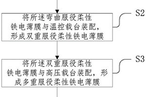 多重服役條件下柔性鐵電薄膜的PFM檢測(cè)方法