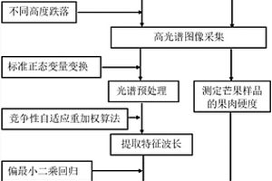 基于高光譜的芒果沖擊損傷后硬度預測方法