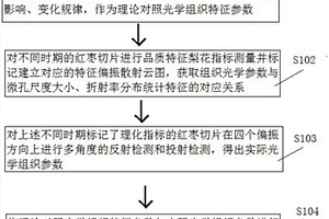 偏振散射測量紅棗組織光學參數(shù)的方法及裝置