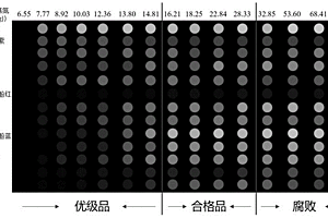 用于指示海水魚新鮮度的基于陽極鋁氧化膜比色陣列傳感標簽的制備方法及其應用