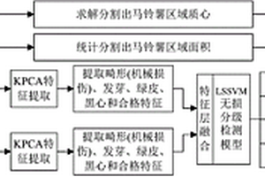 基于多特征融合的馬鈴薯高速無損分級(jí)檢測(cè)方法及系統(tǒng)