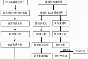 基于圖譜融合技術(shù)的羊肉安全品質(zhì)在線快速無(wú)損檢測(cè)生產(chǎn)線