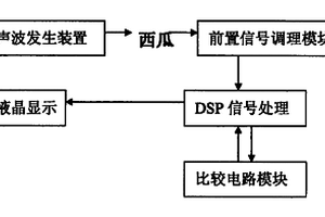 手持式西瓜成熟度無損檢測儀