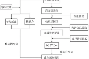 基于高光譜的蘋果沖擊后損傷參數(shù)的無損預(yù)測方法