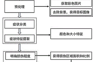 葉片無損評(píng)價(jià)植物臭氧敏感性的方法