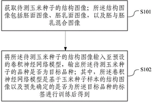 玉米種子品種真實(shí)性鑒定方法及設(shè)備