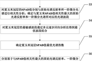 基于高光譜的夏玉米冠層SPAD值估算模型的確定方法