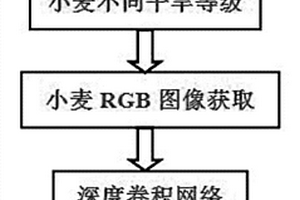 基于圖像深度學(xué)習(xí)的小麥干旱識(shí)別方法