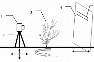 基于數(shù)碼圖像技術(shù)獲取灌木分枝長(zhǎng)度的方法