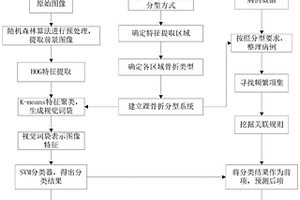 基于機(jī)器學(xué)習(xí)的踝骨折及韌帶損傷診斷方法