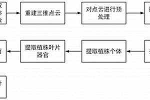 基于多目視覺的作物表型參數提取方法及系統