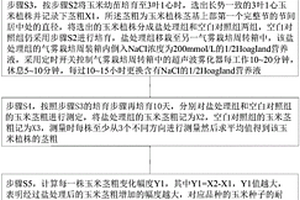 篩選耐鹽玉米品種的方法