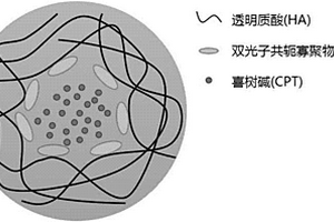 多功能靶向納米熒光探針及其制備與應(yīng)用