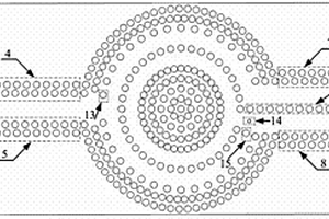 圓形鏤空分支結(jié)構(gòu)的太赫茲波偏振分束器