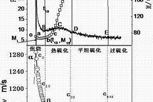 硫化過程超聲波在線表征方法和裝置