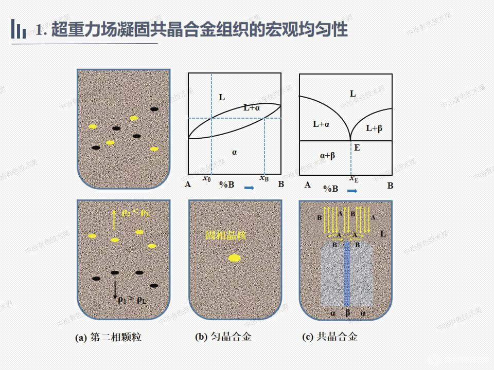 共晶合金的超重力場凝固細(xì)化機(jī)理