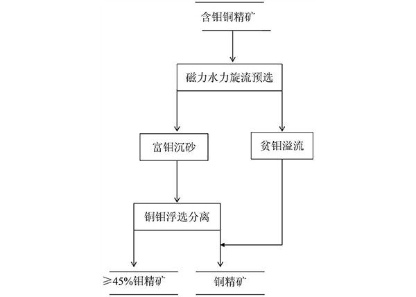 含鉬銅精礦的預選方法