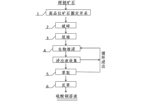 強化提取高品位輝銅礦中銅的方法