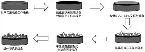 電化學(xué)生物傳感器及其制備方法與應(yīng)用