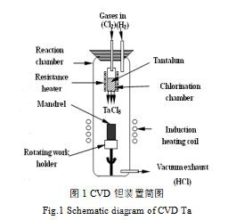 自制的CVD鉭氯化-還原聯(lián)合反應(yīng)裝置示意圖