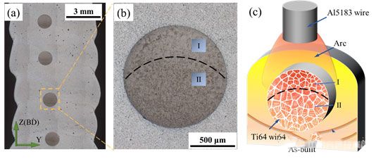 (a)宏觀(guān)形貌;(b)纖維增強(qiáng)鈦合金絲材和鋁合金基材的包圍形貌;(c)電弧作用示意圖