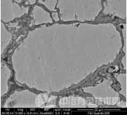 500℃空氣中熱處理后樣品的SEM圖.