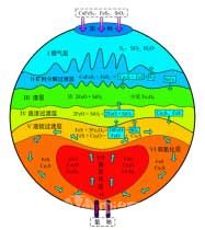 銅富氧底吹熔池熔煉機(jī)理模型橫截面(A截面)示意圖