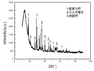 鈣化渣的XRD分析