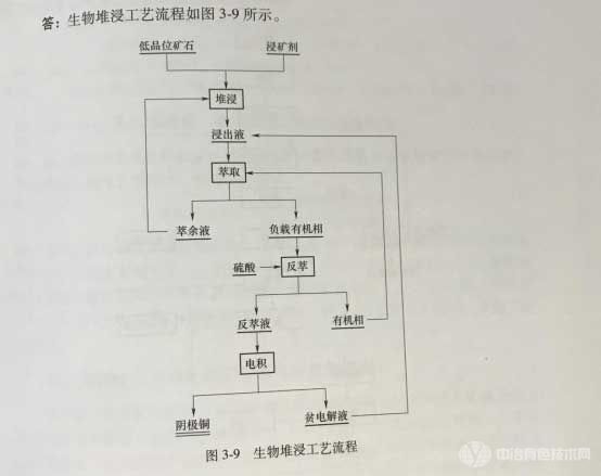 生物堆浸工藝流程