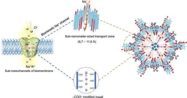 Nat. Commun.：準(zhǔn)固態(tài)鈉電池中鈉離子傳導(dǎo)通道的仿生設(shè)計(jì)
