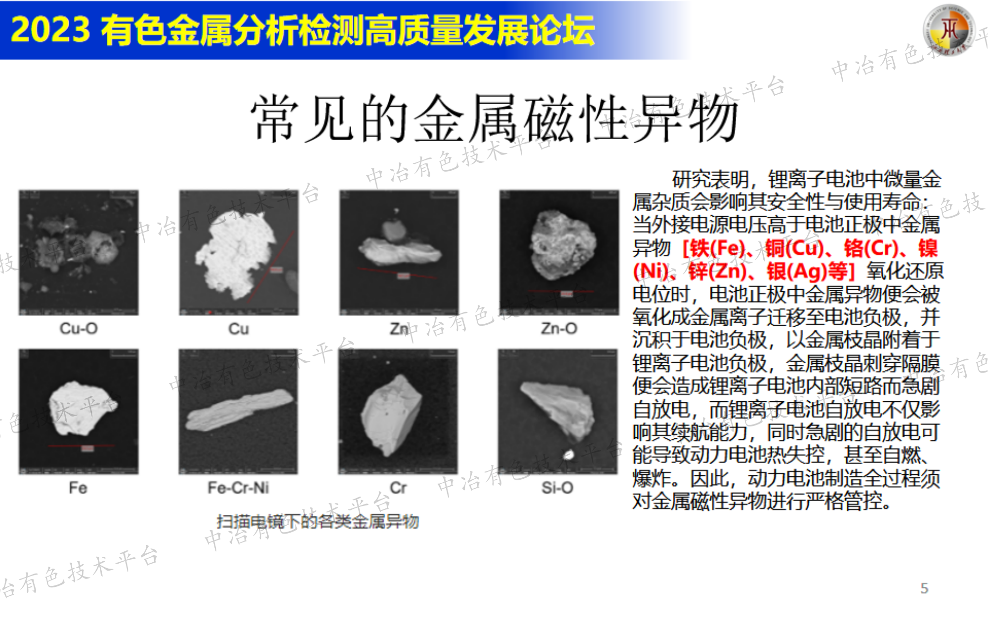 磁性異物對電池性能的影響