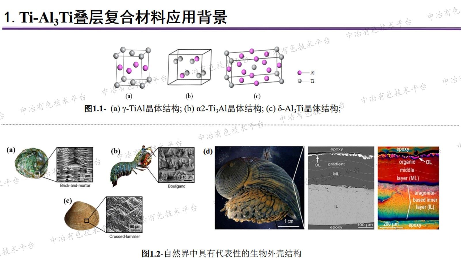 Ti-Al3Ti 疊層復(fù)合材料制備及抗侵徹性能研究