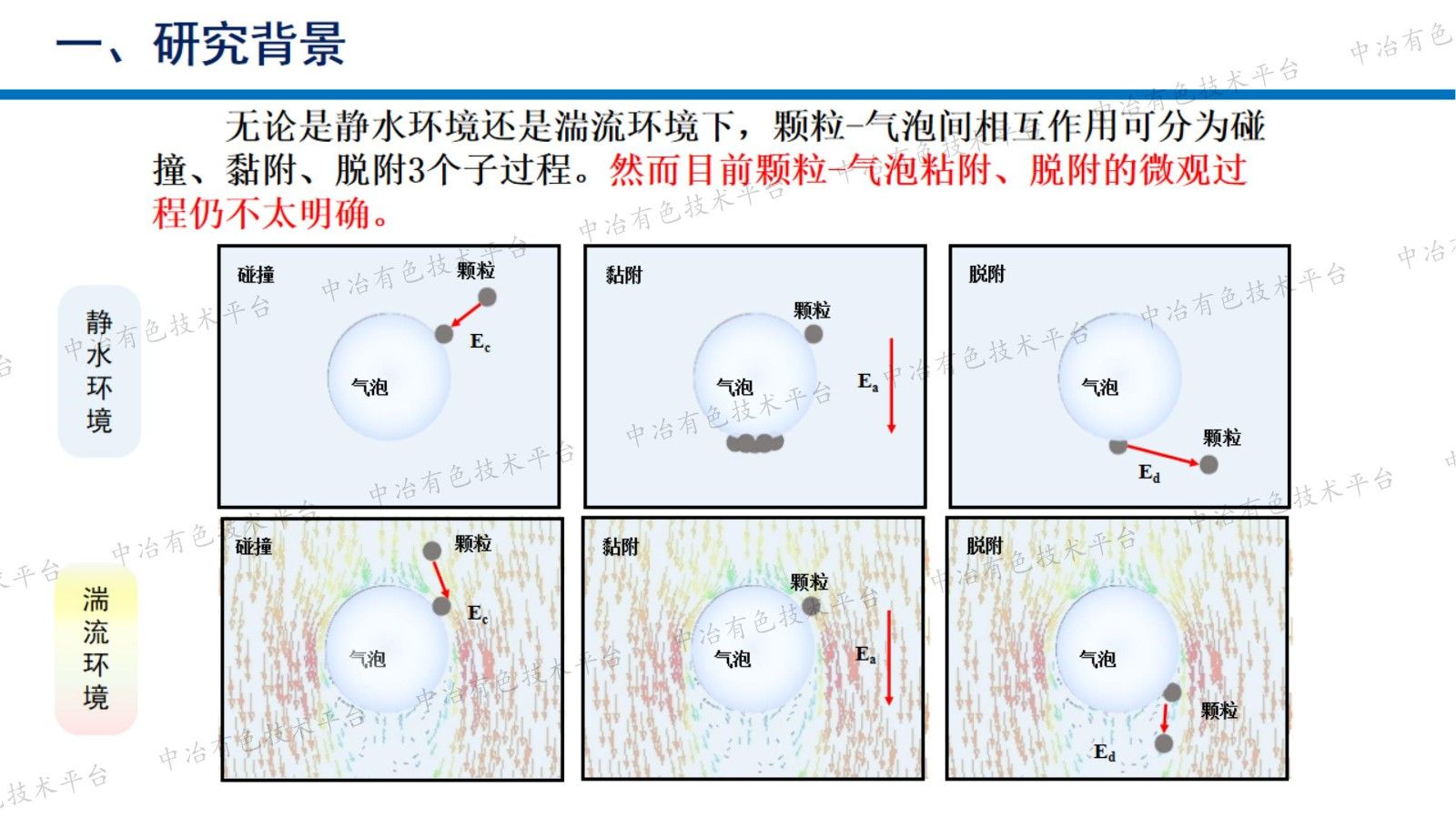 顆粒與氣泡相互作用行為研究